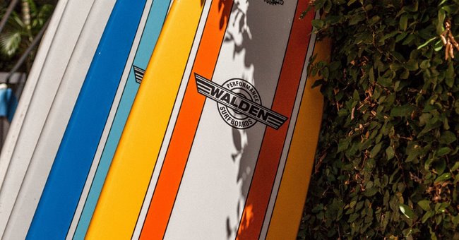 Row of orange and blue surfboards laying against a bush