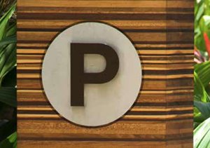 a close-up of the letter p