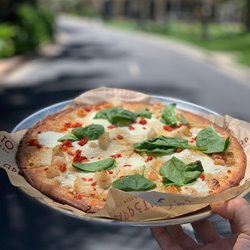 Appetito's Mascarpone Seafood pizza now available at Taormina in Waikiki